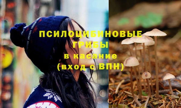 прущие крисы Пестово