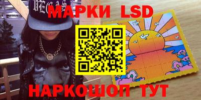 кокс Гатчина