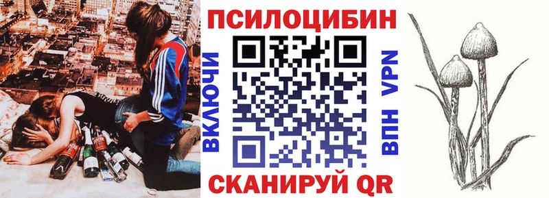 купить закладку  Конаково  Псилоцибиновые грибы прущие грибы 